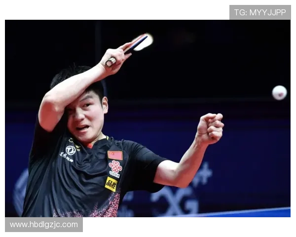 南京羽毛球队进攻体系解析与战术运用探讨